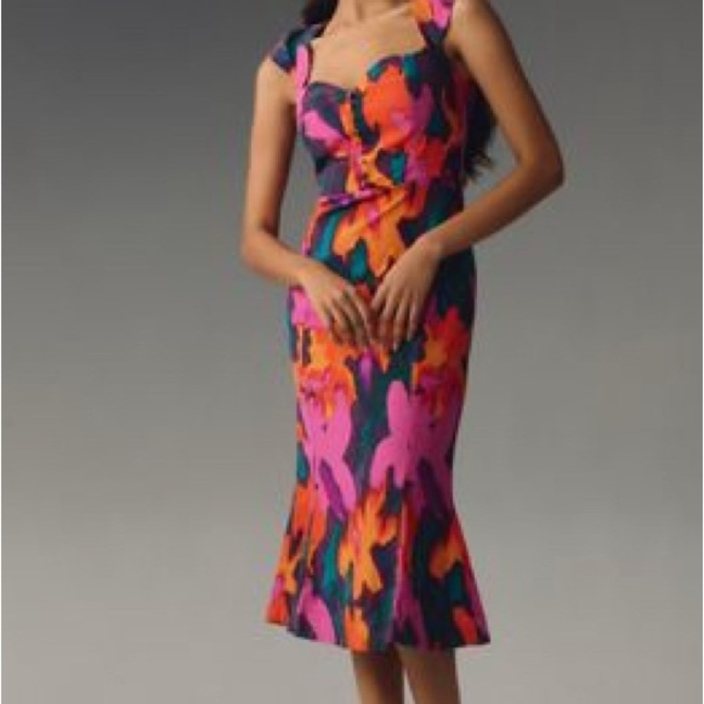 Anthropologie Cecily fit and flare Vibrant Floral Midi Dress